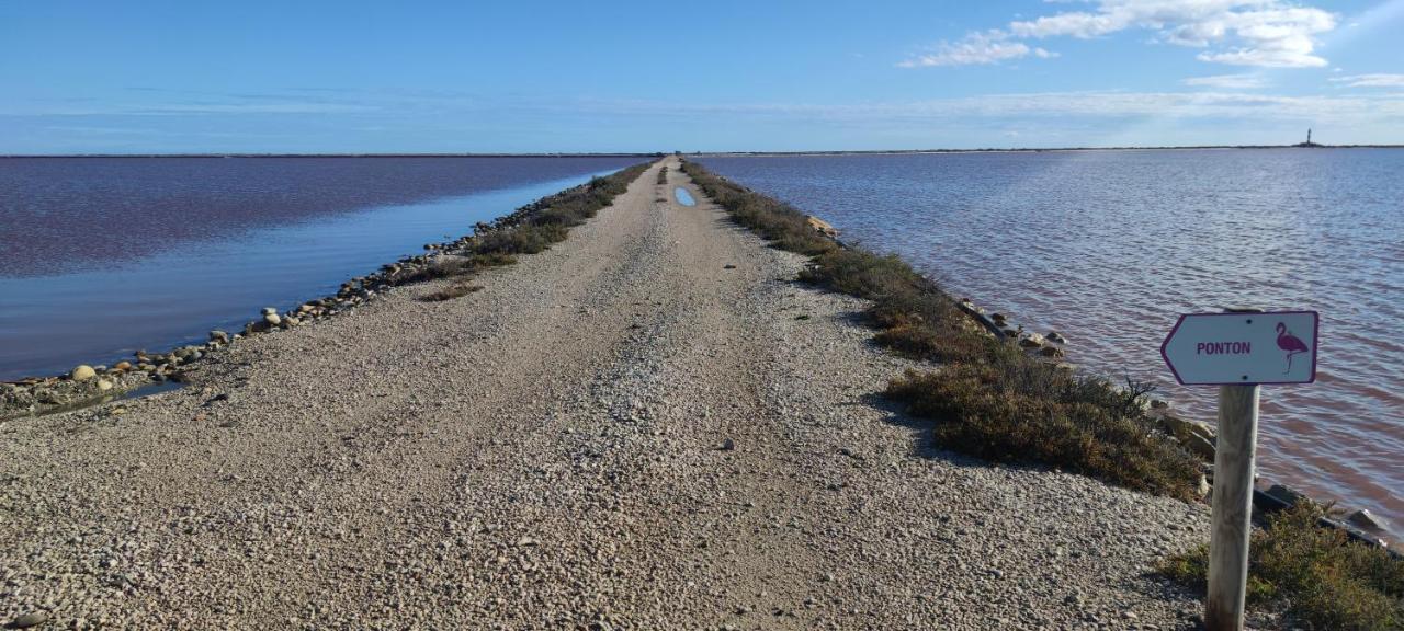 Appartement au coeur des rizières Salin-de-Giraud Esterno foto