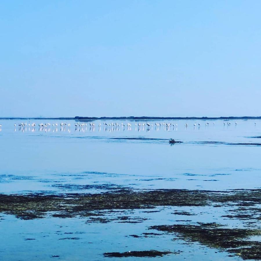 Appartement au coeur des rizières Salin-de-Giraud Esterno foto