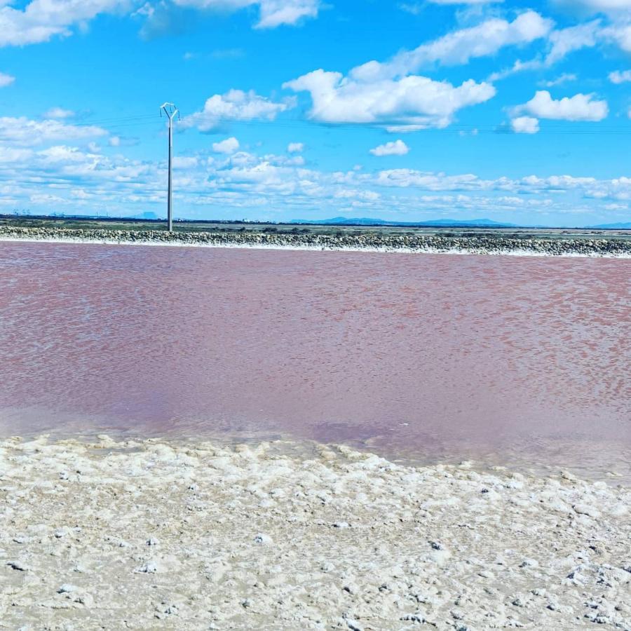Appartement au coeur des rizières Salin-de-Giraud Esterno foto