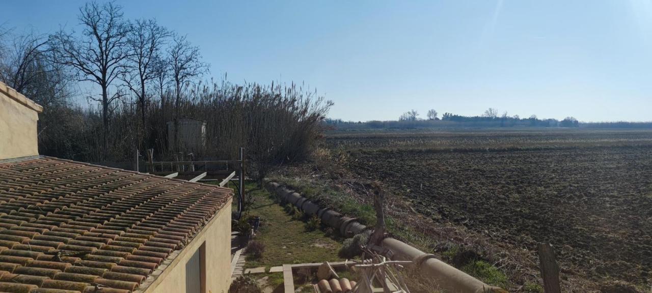 Appartement au coeur des rizières Salin-de-Giraud Esterno foto