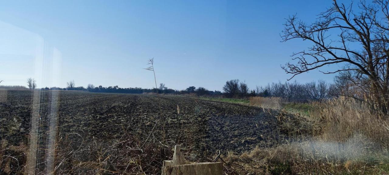 Appartement au coeur des rizières Salin-de-Giraud Esterno foto