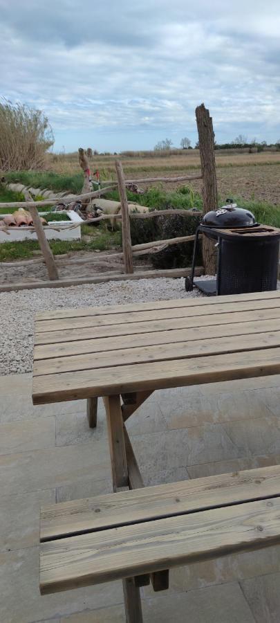Appartement au coeur des rizières Salin-de-Giraud Esterno foto